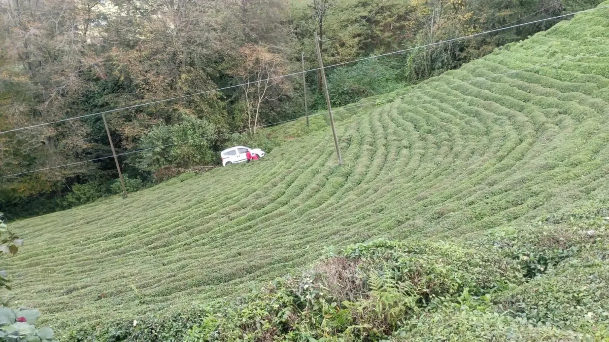 Rize’de Kaza: Sürücü Yaralanmadan Kurtuldu