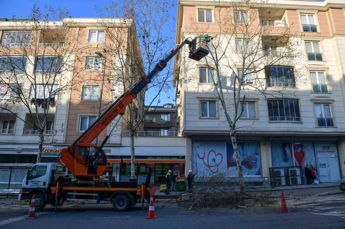 Esenyurt Belediyesi Ağaç Budama Çalışmalarına Devam Ediyor